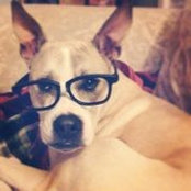 Julie Wilkinson's photo