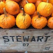 Dori Stewart's photo