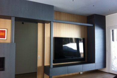 Example of a trendy medium tone wood floor and brown floor living room design in Other with a ribbon fireplace and a wall-mounted tv