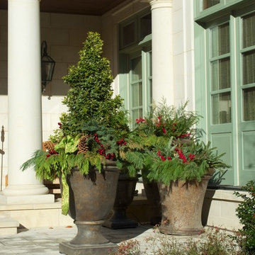 Holiday Annual Flower Displays