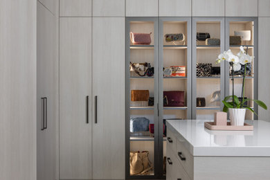 Inspiration for a contemporary closet remodel in Detroit