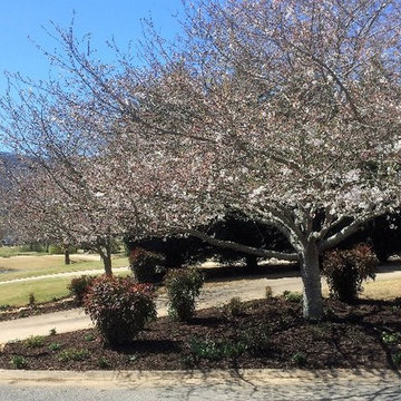 Suburban Spring Redo