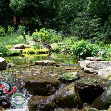 KOI Pond, Backyard Pond & Small Pond Ideas for your Kentucky Landscape