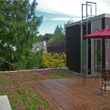 rooftip