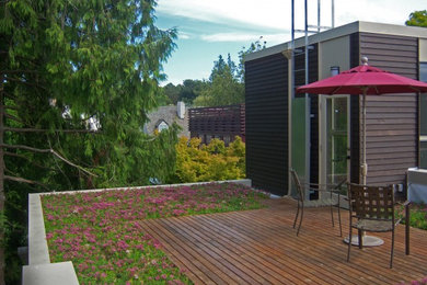 Contemporary wood exterior home idea in Seattle
