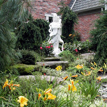 Daylilly