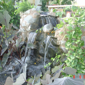 Biological Koi Ponds