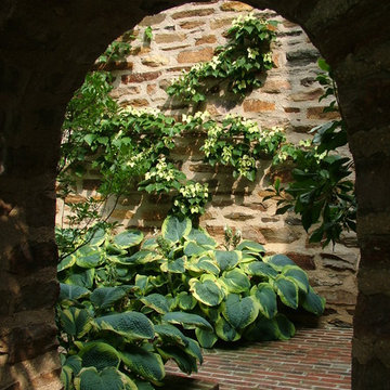 Landscape Design