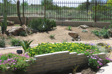 Inspiration for a landscaping in Phoenix.