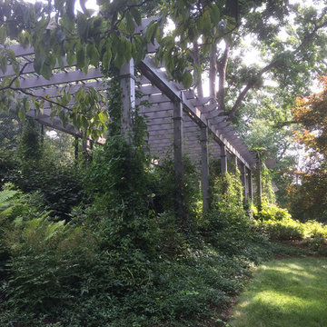 Pergola, Trellis & Cabana