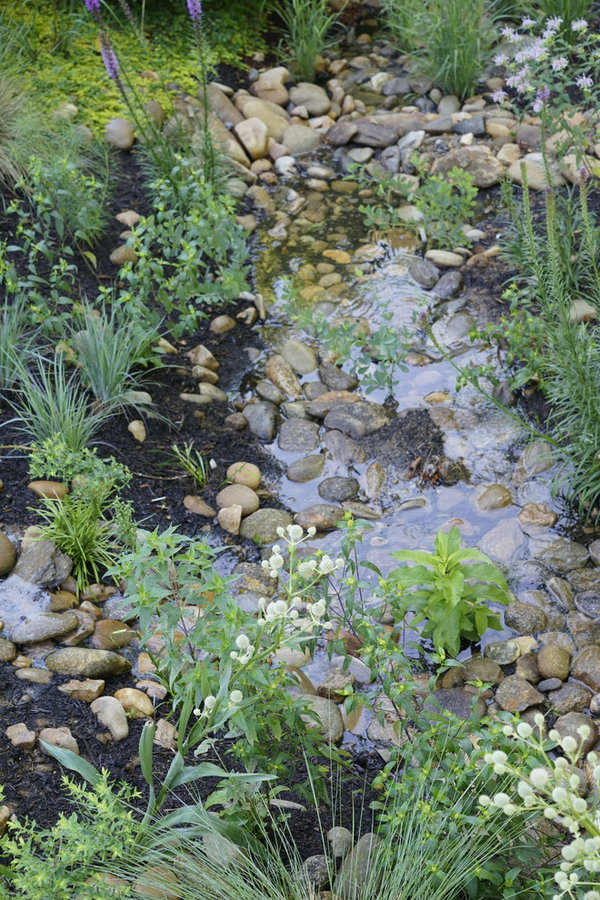 French Broad Rain Garden