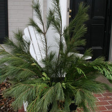 christmas planter