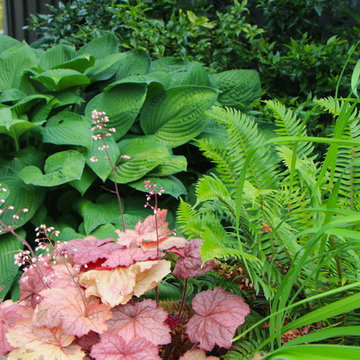 Landscape plantings