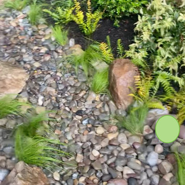 RainGarden + Stormwater Management