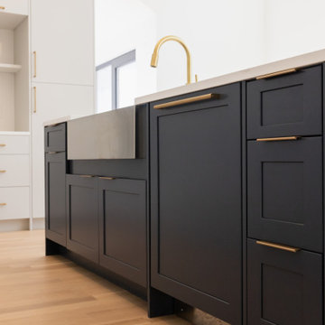 Western Project: Modern European Elegance with Vaulted Ceilings