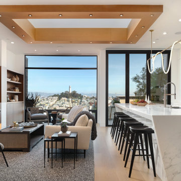 Russian Hill - Top-to-bottom redesign on a San Francisco downtown view home