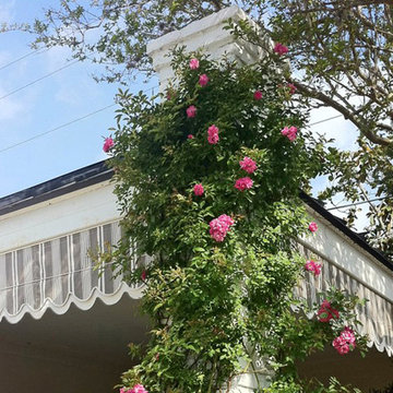 Chevy Chase Gardens