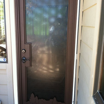 Custom Glass Security Door