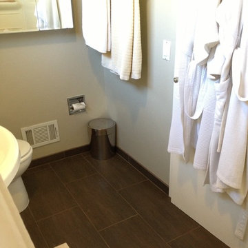 Master Bath - Stop-Gap Measure PHASE 1