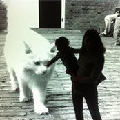 Loretta Bolotin's photo