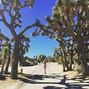 Foto de Hannah Lyons
