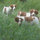 cheryl_nelson879