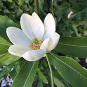 Maureen Dunstan-Wright's photo