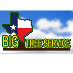 Big Tree Service