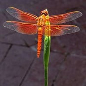 Madlyn McKendry's photo