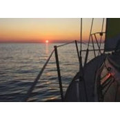Robert Hellner's photo