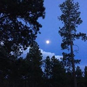 Andrea Mueller's photo