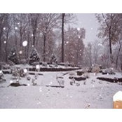 Konnie Flack's photo