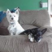 Elizabeth Carnes's photo
