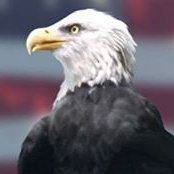 Jeff Gardner's photo