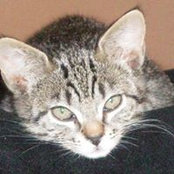 Nancy Forbiss billede