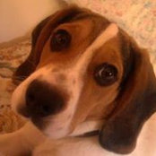 Stefania Bho's photo