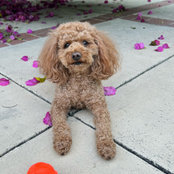Myles Hunter's photo