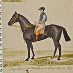 Brick House Fabrics - Horse Racing Fabric Race Jockey Document Print, Standard Cut - A horse racing fabric done as a document print! A jockey horse race fabric! Colors used are black, grey, taupe, deep violet, orange, muted orange, yellow, blue, mid blue, olive, and pale sage. There has been over-printing and blending of colors, so other tones are seen. The background is oatmeal, it does have fleck. The effect from a distance is of black, brown, and tan, punctuated by red, orange, gold, blue, and olive, with highlights of gray on a beige background.