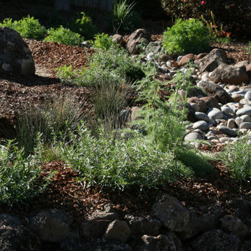 At Home in a Natural California Garden