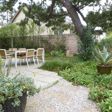Hollywood Hills California Native Garden Sanctuary
