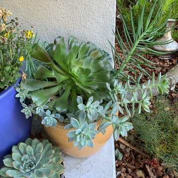 Container Gardening