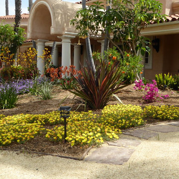 Lawn conversion in Fairbanks Ranch