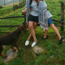 La granja de Astrid. Hay de todo y todos viven estupendamente