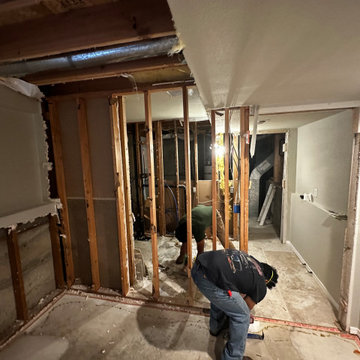 Federal Way Basement Remodel