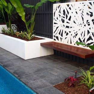 Cette image montre un petit jardin minimaliste avec des pavés en pierre naturelle.