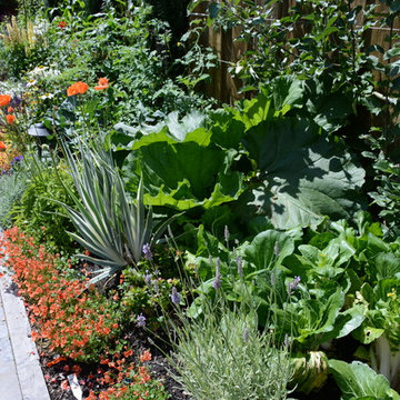 Raised Vegetable Bed / Ornamental Garden 2016
