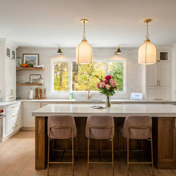 Full House Renovation in McLean VA