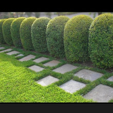 Entrance Pathway Project