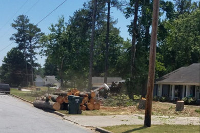 Tree Removal in Conyers, GA