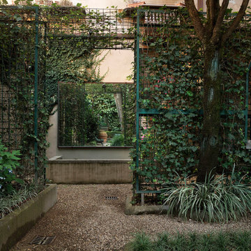 A tiny ecosystem in the heart of town